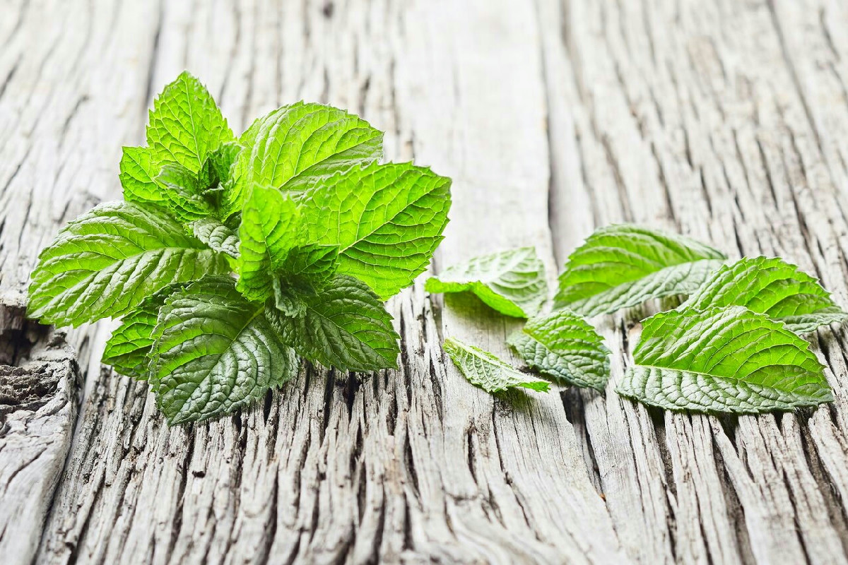 7 ricette gustose per preparare pesce senza aglio mantenendo sapori intensi e raffinati