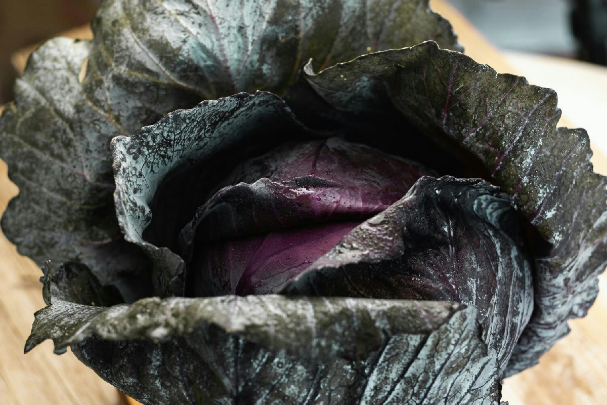 Il contorno leggero che accelera il metabolismo: cavolo nero saltato con aglio e limone