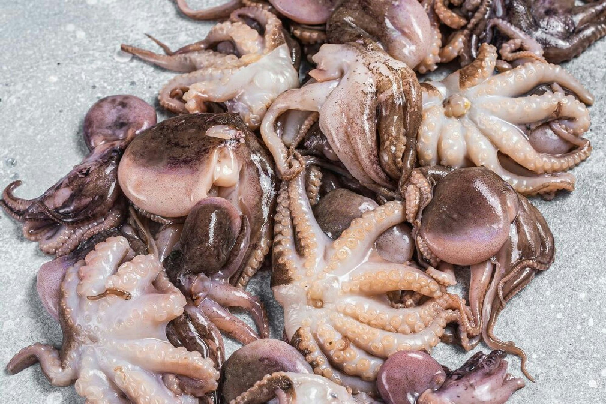 Cosa succede davvero quando i moscardini entrano in una zuppa dal sapore intenso e avvolgente