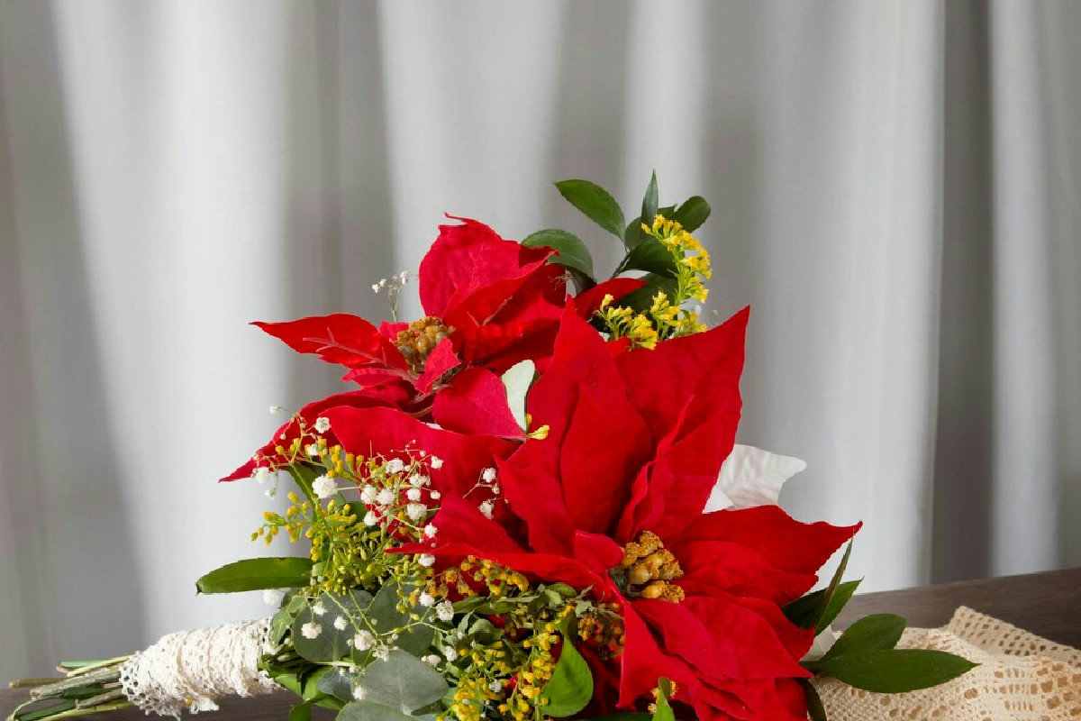 Idee originali per creare un centrotavola elegante con la stella di Natale fai da te