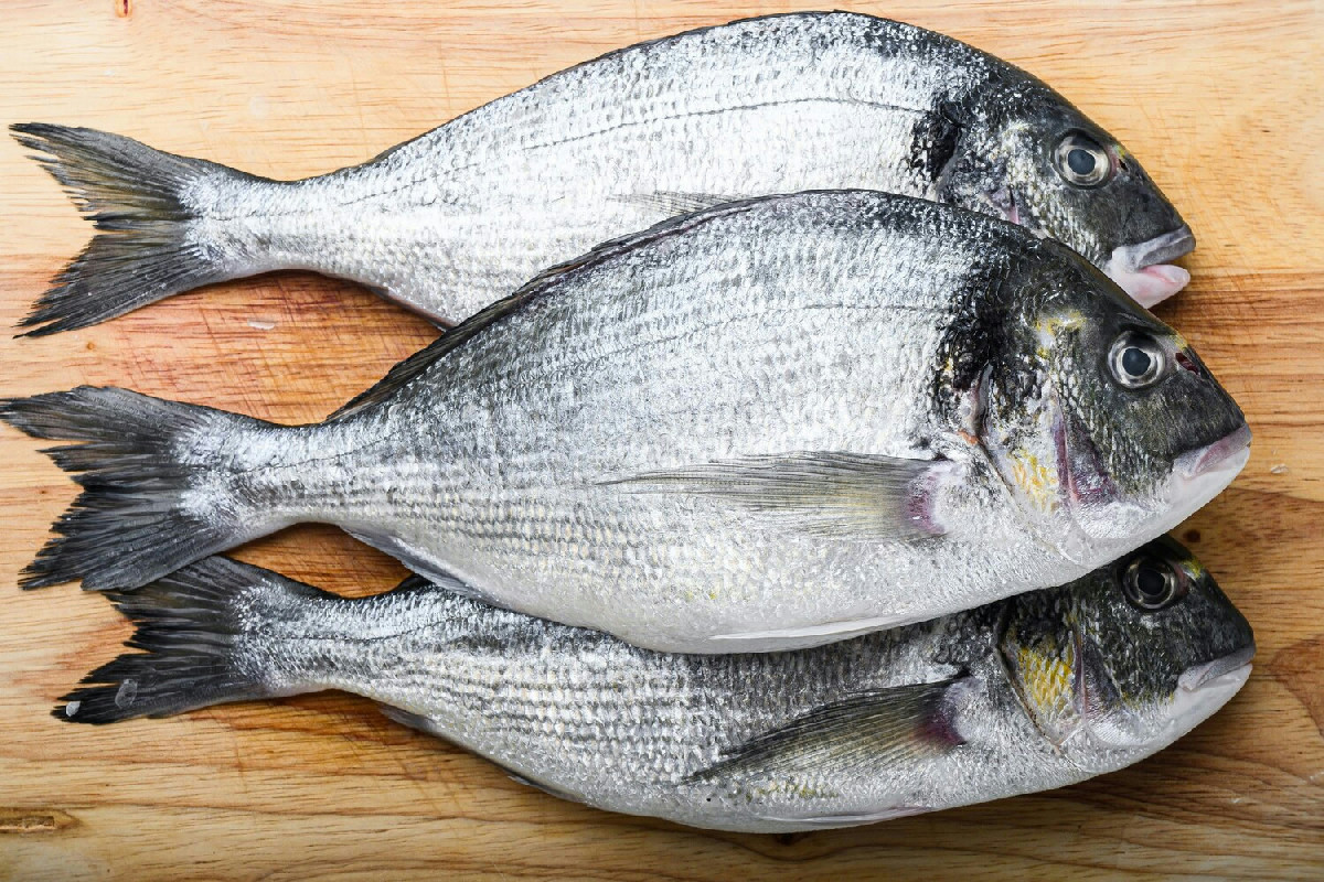 1️⃣ Orata al cartoccio: il piatto ideale per un pranzo leggero e ricco di profumo di mare