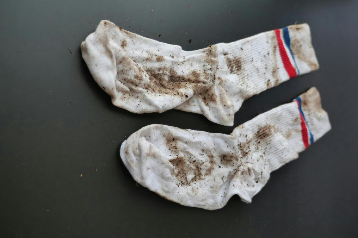 Calzini macchiati: ingredienti casalinghi economici per riportare il bianco brillante