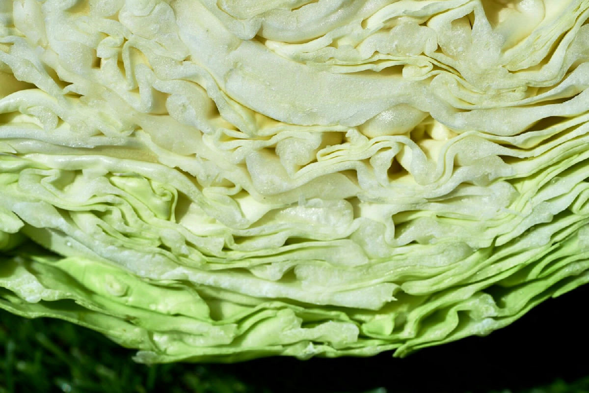 Cavolo cappuccio croccante e saporito: la ricetta perfetta per un contorno gustoso